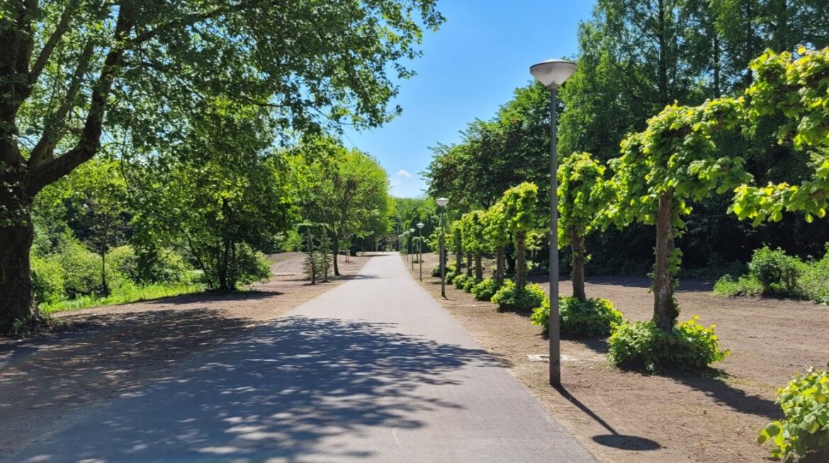 Ontdek het Groene Hart van Amsterdam Zuidoost: de Gaasperplas
