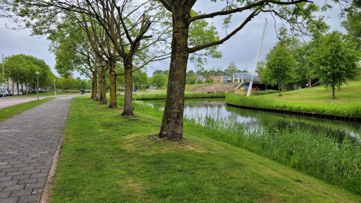 Hoe Groen is Amsterdam Zuidoost? Ontdek de Natuur in het Groene Hart van Amsterdam